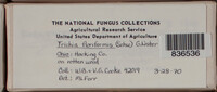 Image Associated With the Occurence
